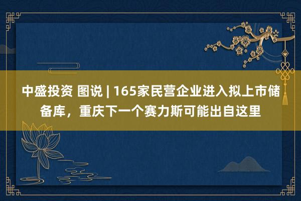 中盛投资 图说 | 165家民营企业进入拟上市储备库，重庆下一个赛力斯可能出自这里