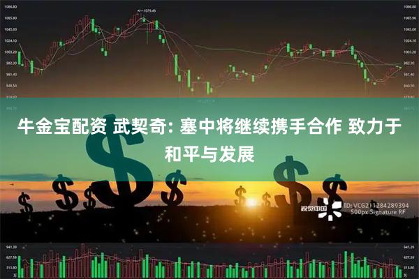牛金宝配资 武契奇: 塞中将继续携手合作 致力于和平与发展
