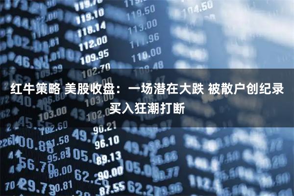 红牛策略 美股收盘：一场潜在大跌 被散户创纪录买入狂潮打断