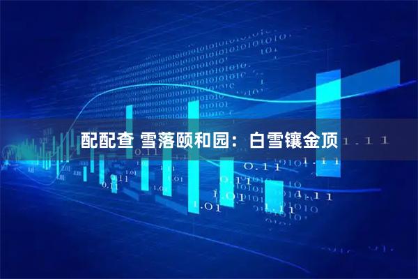 配配查 雪落颐和园：白雪镶金顶